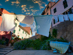 Il Cotone